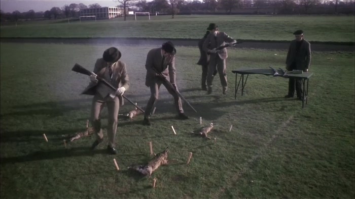 THESE RABBITS HAVE BEEN STAKED TO THE GROUND SO THEY CAN'T MOVE TOO MUCH... 
