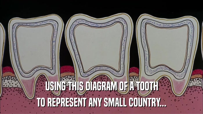 USING THIS DIAGRAM OF A TOOTH TO REPRESENT ANY SMALL COUNTRY... 