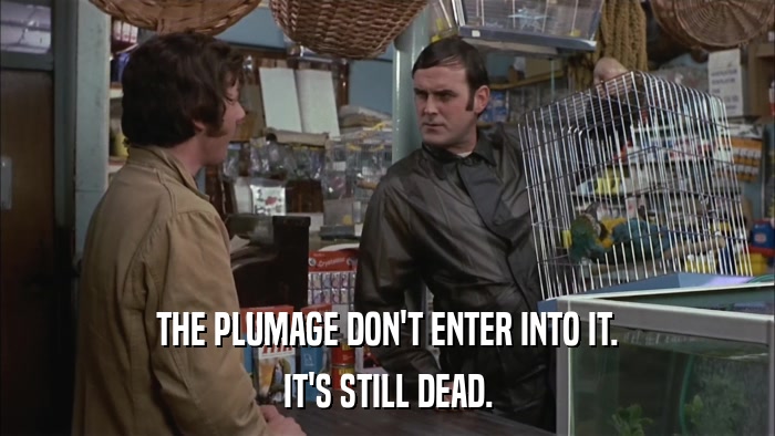 THE PLUMAGE DON'T ENTER INTO IT. IT'S STILL DEAD. 