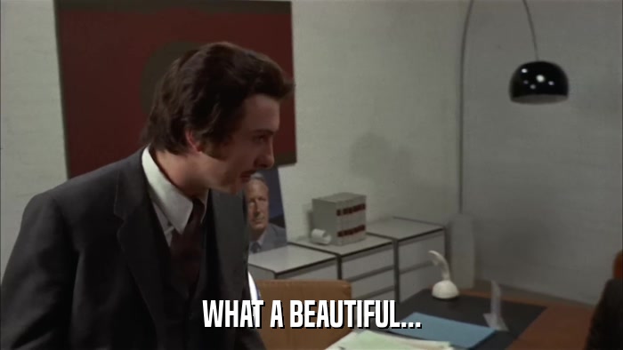 WHAT A BEAUTIFUL...  