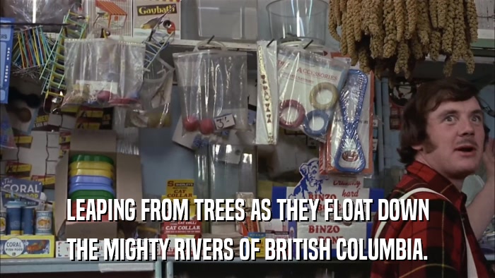 LEAPING FROM TREES AS THEY FLOAT DOWN THE MIGHTY RIVERS OF BRITISH COLUMBIA. 