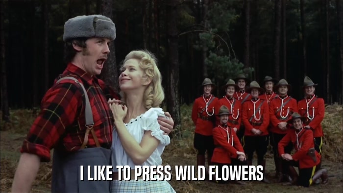 I LIKE TO PRESS WILD FLOWERS  