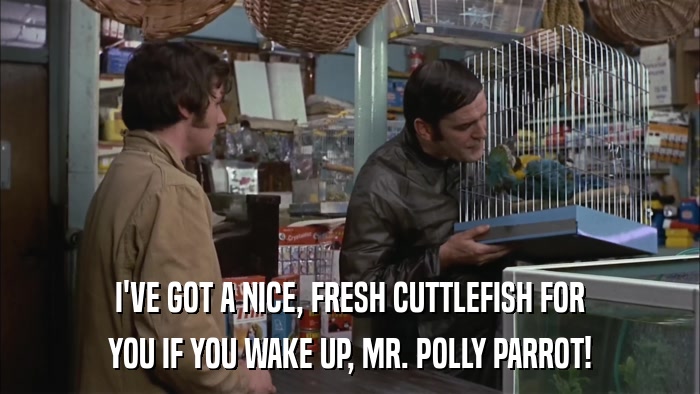 I'VE GOT A NICE, FRESH CUTTLEFISH FOR YOU IF YOU WAKE UP, MR. POLLY PARROT! 