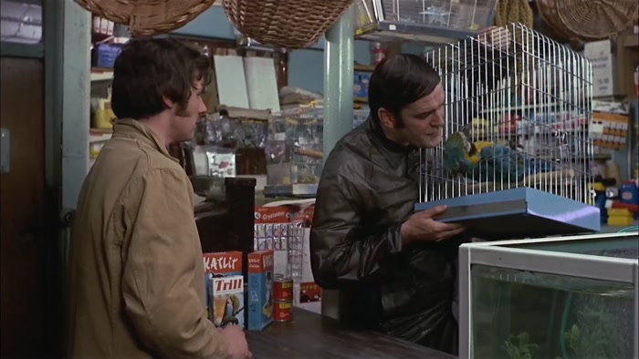 I'VE GOT A NICE, FRESH CUTTLEFISH FOR YOU IF YOU WAKE UP, MR. POLLY PARROT! 