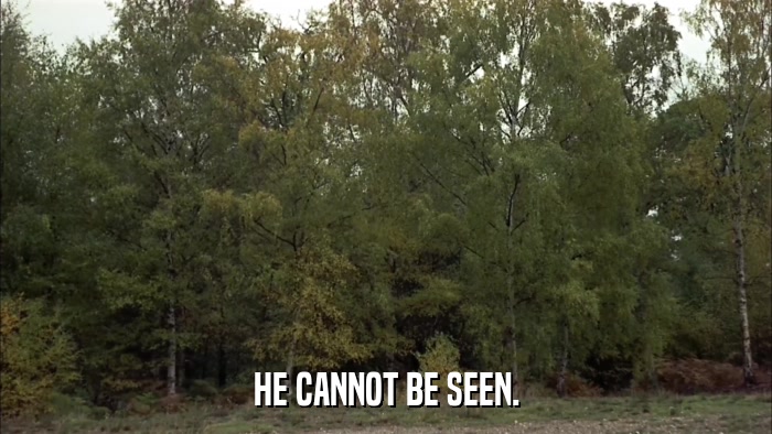 HE CANNOT BE SEEN.  