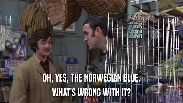 OH, YES, THE NORWEGIAN BLUE. WHAT'S WRONG WITH IT? 