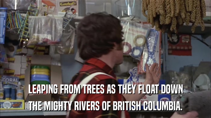 LEAPING FROM TREES AS THEY FLOAT DOWN THE MIGHTY RIVERS OF BRITISH COLUMBIA. 