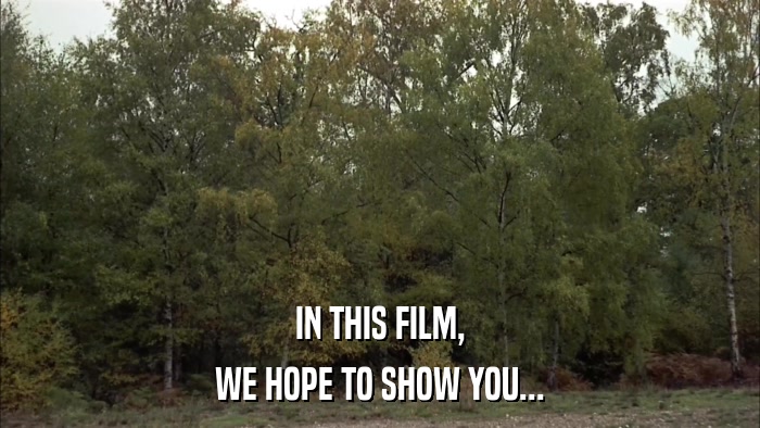IN THIS FILM, WE HOPE TO SHOW YOU... 