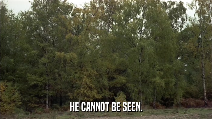 HE CANNOT BE SEEN.  