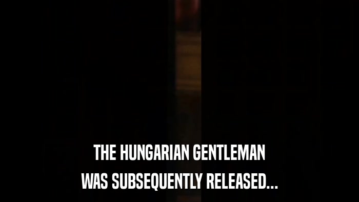 THE HUNGARIAN GENTLEMAN WAS SUBSEQUENTLY RELEASED... 