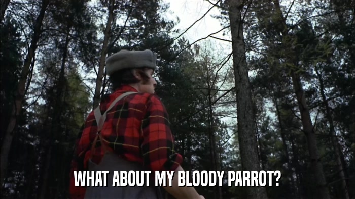 WHAT ABOUT MY BLOODY PARROT?  