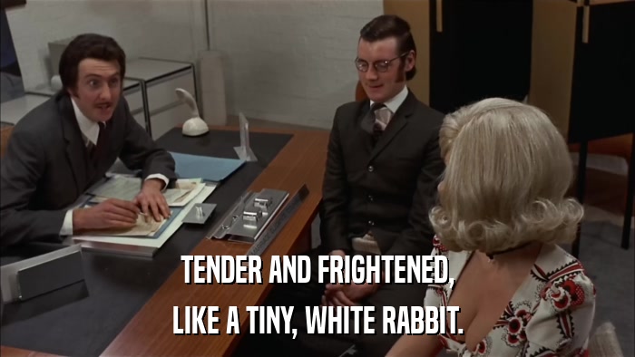 TENDER AND FRIGHTENED, LIKE A TINY, WHITE RABBIT. 