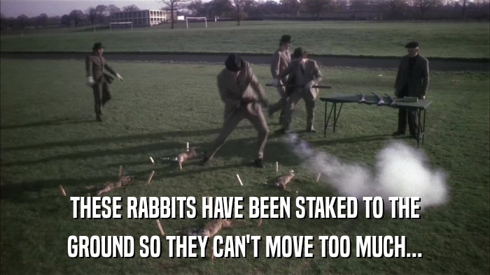 THESE RABBITS HAVE BEEN STAKED TO THE GROUND SO THEY CAN'T MOVE TOO MUCH... 