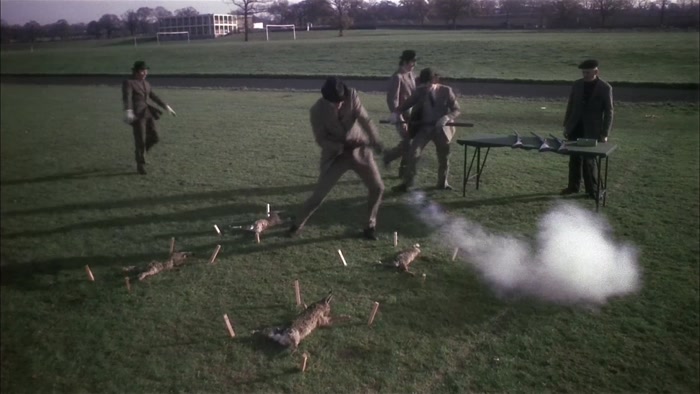 THESE RABBITS HAVE BEEN STAKED TO THE GROUND SO THEY CAN'T MOVE TOO MUCH... 