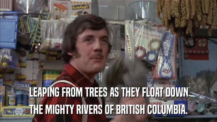 LEAPING FROM TREES AS THEY FLOAT DOWN THE MIGHTY RIVERS OF BRITISH COLUMBIA. 