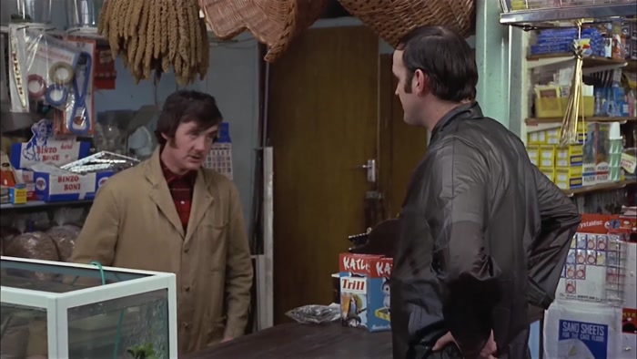 SORRY, SQUIRE. WE'RE RIGHT OUT OF PARROTS. 