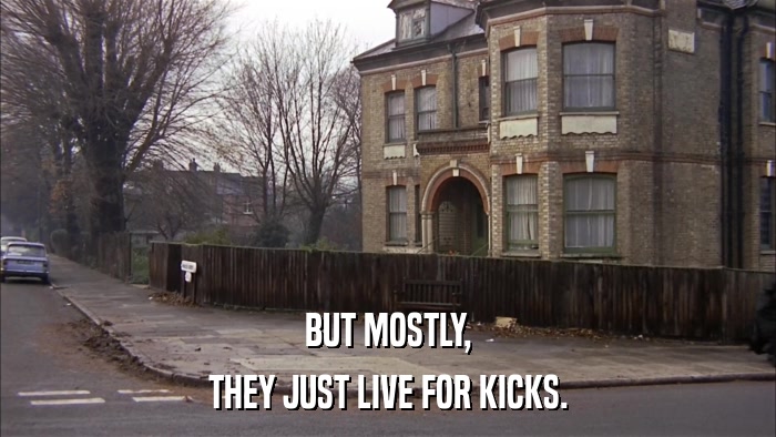 BUT MOSTLY, THEY JUST LIVE FOR KICKS. 