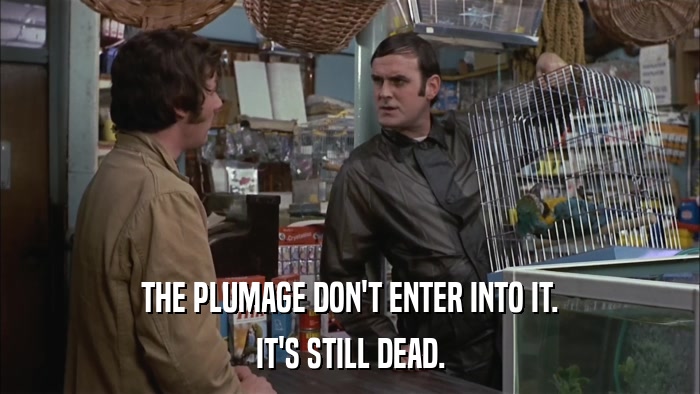 THE PLUMAGE DON'T ENTER INTO IT. IT'S STILL DEAD. 