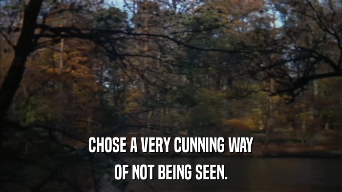 CHOSE A VERY CUNNING WAY OF NOT BEING SEEN. 