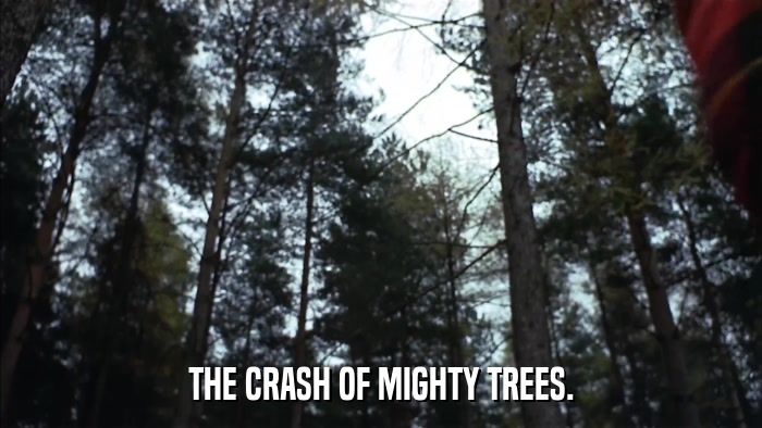 THE CRASH OF MIGHTY TREES.  