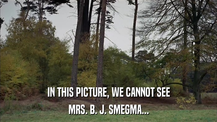 IN THIS PICTURE, WE CANNOT SEE MRS. B. J. SMEGMA... 