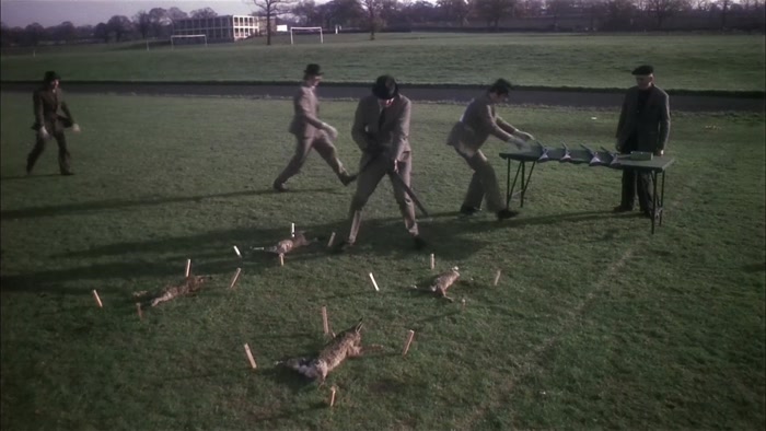 THESE RABBITS HAVE BEEN STAKED TO THE GROUND SO THEY CAN'T MOVE TOO MUCH... 