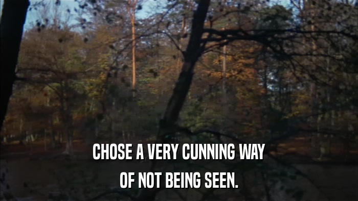 CHOSE A VERY CUNNING WAY OF NOT BEING SEEN. 