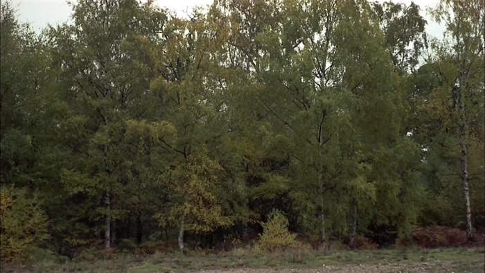 IN THIS FILM, WE HOPE TO SHOW YOU... 