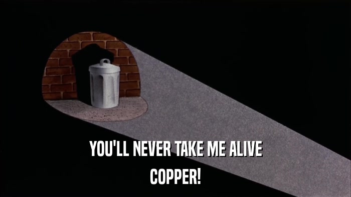 YOU'LL NEVER TAKE ME ALIVE COPPER! 