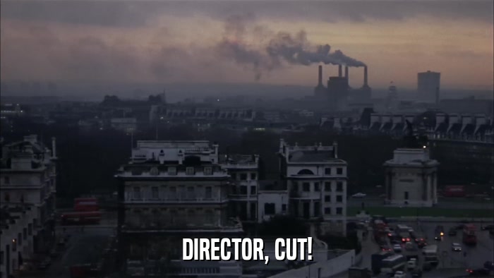 DIRECTOR, CUT!  
