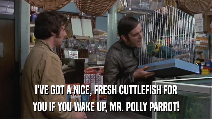 I'VE GOT A NICE, FRESH CUTTLEFISH FOR YOU IF YOU WAKE UP, MR. POLLY PARROT! 