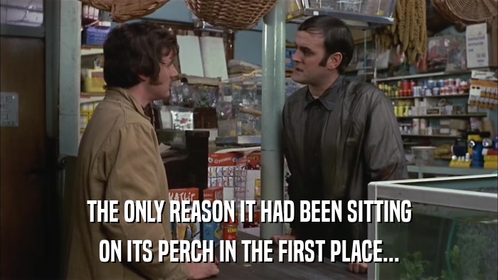 THE ONLY REASON IT HAD BEEN SITTING ON ITS PERCH IN THE FIRST PLACE... 