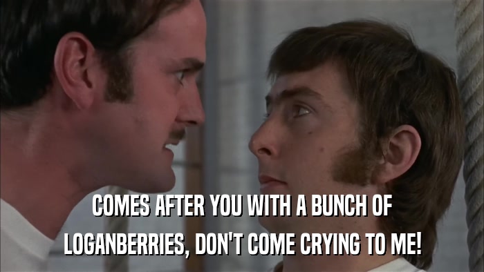 COMES AFTER YOU WITH A BUNCH OF LOGANBERRIES, DON'T COME CRYING TO ME! 