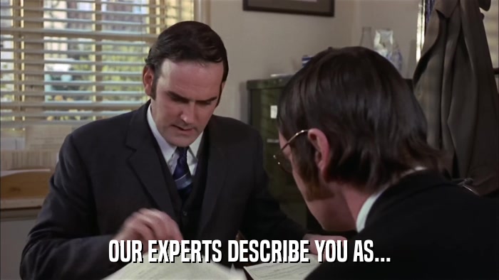 OUR EXPERTS DESCRIBE YOU AS...  