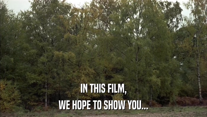 IN THIS FILM, WE HOPE TO SHOW YOU... 