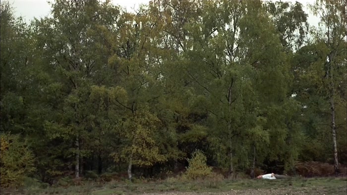 THIS DEMONSTRATES THE VALUE OF NOT BEING SEEN. 