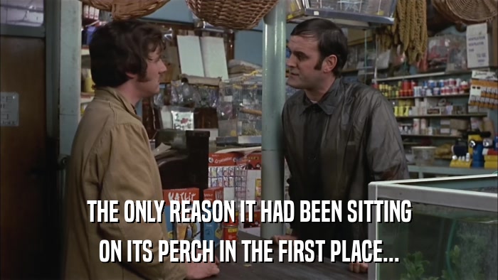 THE ONLY REASON IT HAD BEEN SITTING ON ITS PERCH IN THE FIRST PLACE... 
