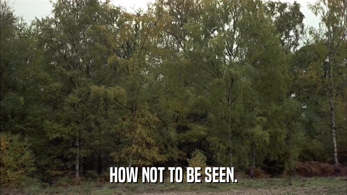 HOW NOT TO BE SEEN.  
