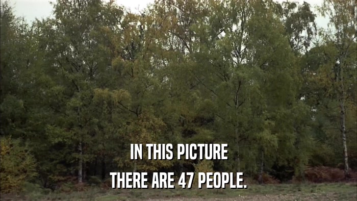 IN THIS PICTURE THERE ARE 47 PEOPLE. 