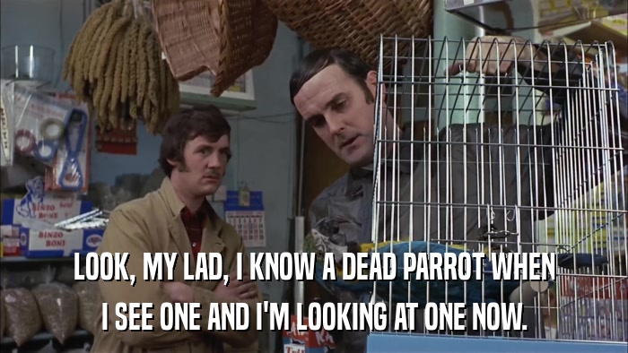 LOOK, MY LAD, I KNOW A DEAD PARROT WHEN I SEE ONE AND I'M LOOKING AT ONE NOW. 