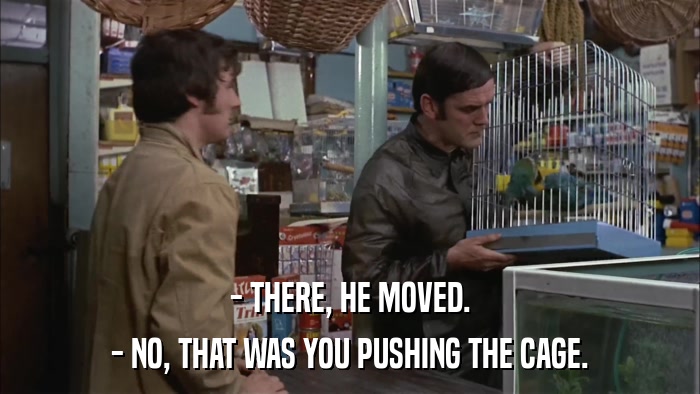 - THERE, HE MOVED. - NO, THAT WAS YOU PUSHING THE CAGE. 