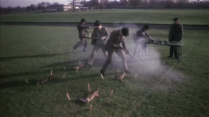 THESE RABBITS HAVE BEEN STAKED TO THE GROUND SO THEY CAN'T MOVE TOO MUCH... 