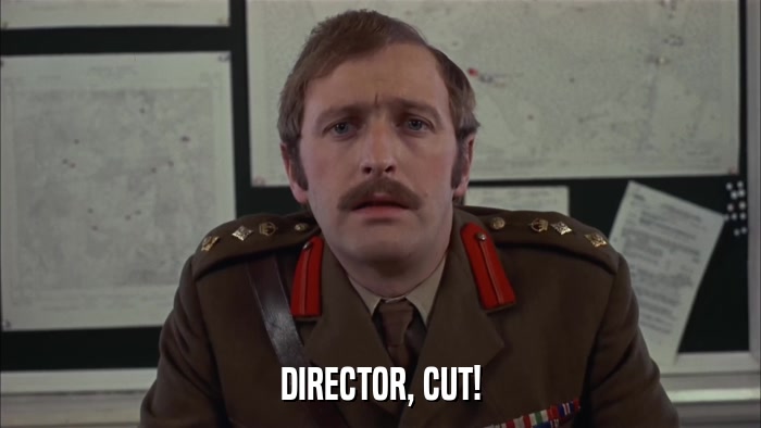 DIRECTOR, CUT!  