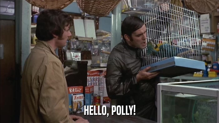 HELLO, POLLY!  