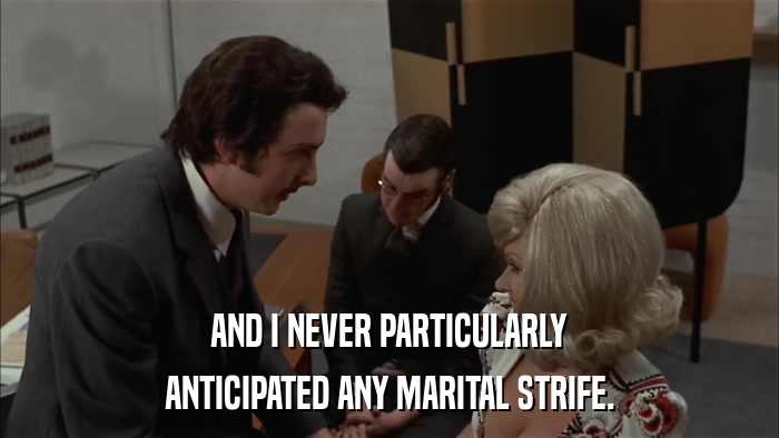 AND I NEVER PARTICULARLY ANTICIPATED ANY MARITAL STRIFE. 