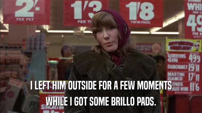 I LEFT HIM OUTSIDE FOR A FEW MOMENTS WHILE I GOT SOME BRILLO PADS. 