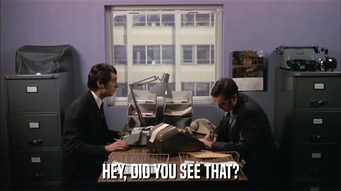 HEY, DID YOU SEE THAT?  
