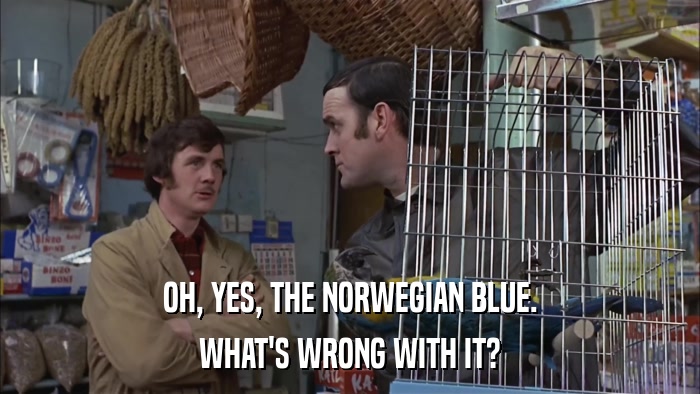 OH, YES, THE NORWEGIAN BLUE. WHAT'S WRONG WITH IT? 