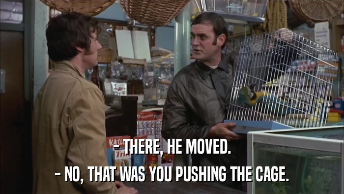 - THERE, HE MOVED. - NO, THAT WAS YOU PUSHING THE CAGE. 