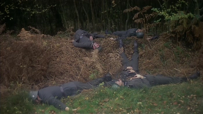 THE GERMAN CASUALTIES WERE APPALLING. 